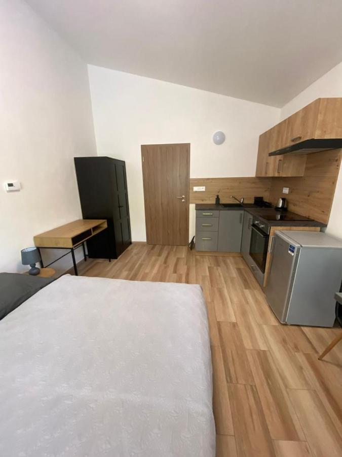 Cerna Ruze - Apartman 7 Plzeň Eksteriør bilde